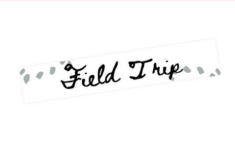 EV11 || Splatter Vertical Field Trip Full Day Stickers