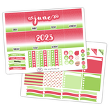 T256 || June Watermelon Monthly Kit