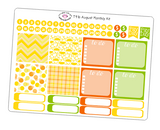 T258 || August Sunshine Monthly Kit