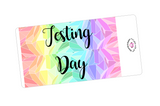K25 || Kaleidoscope Testing Day Full Day Stickers