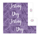 K25 || Kaleidoscope Testing Day Full Day Stickers