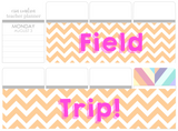 T13 || Chevron Field Trip Full Day Stickers