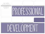 B21 || Basic Professional Development Full Day Stickers