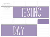 B25 || Basic Testing Day Full Day Stickers