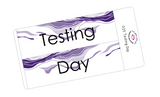 G25 || Geode Testing Day Full Day Stickers