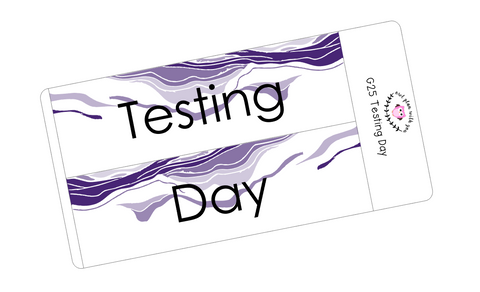 G25 || Geode Testing Day Full Day Stickers