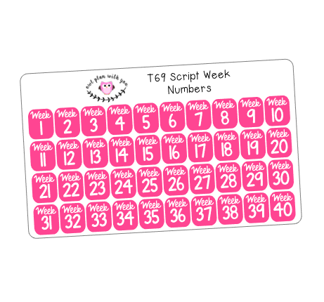 T69 || 40 Script Week Number Stickers