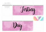 T139 || Watercolor Testing Day Full Day Stickers
