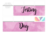 T139 || Watercolor Testing Day Full Day Stickers